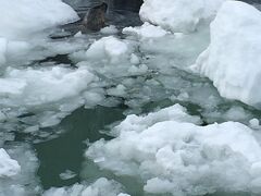 アザラシプールには雪が投げ入れられてました。
流氷をイメージしているそうですが、冷たさをものともせず、アザラシたちは楽しそうに泳いでました。奥の方に頭が出てます。