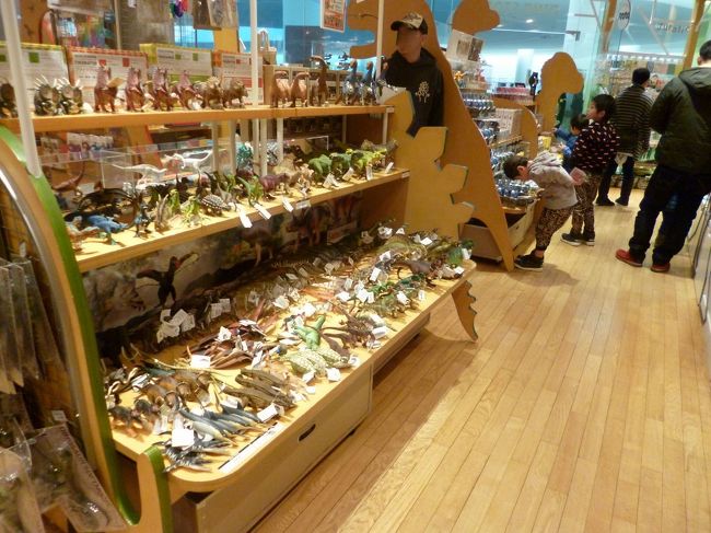 ミュージアムショップには恐竜グッズや珍しそうなフィギュアも売ってます