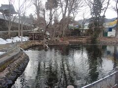 参道の入口には月江寺公園。鴨がのんびり泳いでます。次男坊が少し遊びたいというので許可すると奥の方へ行ってしまいました。この後すぐ近くにある神社へ、と思っていたので時間が〜。