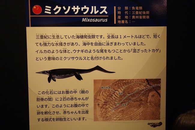 三連休は秋の乗り放題パスで恐竜博物館〈いよいよ館内編・2015年度特別