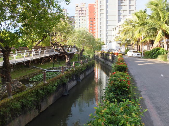 原生植物園を散策 20130623<br /><br />原生植物園の風景、私はこの風景が好きです