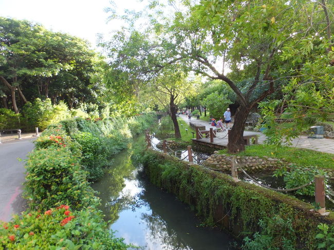 原生植物園を散策 20130623<br /><br />原生植物園の風景