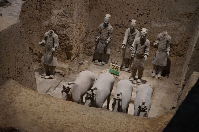 ３号坑です。こちらは全体を統率する司令部と考えらています。