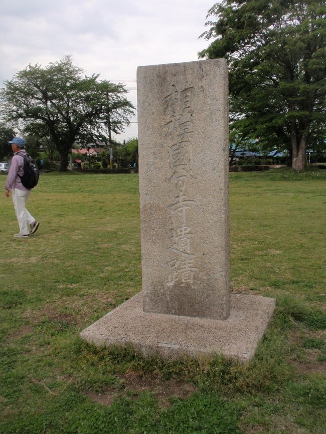 相模国分寺遺構公園
