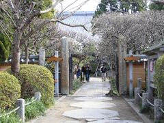 宝戒寺の門前にて　１２：２５頃

宝戒寺の梅もそろそろ見頃のようですが、今日は門前で失礼しました。
