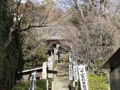 杉本寺の門前　１３：０５頃

こちらの梅はまだこれからのようです。
こちらも門前で失礼しました。