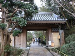 報国寺の山門

浄妙寺の次は、竹の寺として知られる報国寺にちょっと立ち寄りました。
