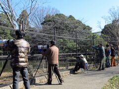 新京成ハイク1/3　菊田神社〜子安神社　31
