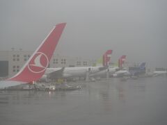 リスボン・ポルテラ空港に着陸しました。
残念ながら雨。

予想していたよりも降ってます。

アジアには就航していないTAPポルトガル航空の機材が見えます。
ポルトガルのフラッグキャリアで、今回のTK1755も共同運航便でした。