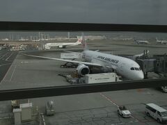 羽田発金浦空港行きJAL93に乗りました。
平日の日中にもかかわらず満席、空港も混雑していました。