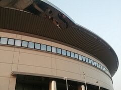 そしてなんと会場脇まで車で連れて来てくださいました＞＜
ホントに感謝です。
（しかも降ろしてくださったところが私達母娘が入るアリーナ入り口のすぐそばだった）

というわけでいざコンサートへ！

コンサートはすっごい楽しい時間でした！並びで入る友人達とは座席集合（笑）。あとは別のお友達とも席で会えたし（その友達もたまたまアリーナ席だった）、席がまた割と前の方でこんな距離で見られるなんて＞＜ってずっと興奮しておりました。