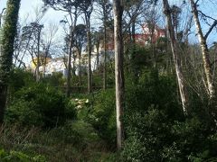 ムーア城を後にしてペーナ宮殿へ。
ムーア城からのバスは観光客でいっぱいで乗車拒否された(-_-;)また１５分待つのか…としょぼくれそうになったところに臨時便なのかすぐ次のバスが来て無事乗車！

ペーナ宮殿は大人気のようで、回転は速いものの幾つかあるチケットブース全てに行列ができていた。チケットブースのお兄ちゃんは陽気な人で「どこから来たの？」と聞かれて「日本」と答えると「マンガ！」って話しかけてきた。でもとっさに有名な漫画が思い浮かばず「イエス！」しか言えなかった。。
語彙力のなさをプチ反省しつつ敷地内へ。