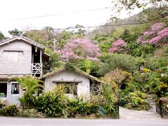 やちむん喫茶 シーサー園