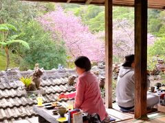 やちむん喫茶 シーサー園