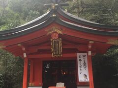 箱根神社内の九頭龍様