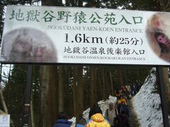 11時にチェックアウトし、地獄谷野猿公苑に行きます。
既に駐車場がいっぱいで、チェーン着脱所に停めることになり、この入口にたどりつくまでに20分程かかっています。