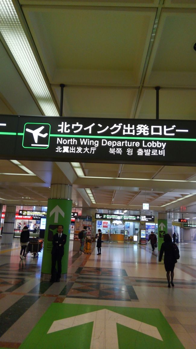 今回はスカイチームのベトナム航空利用、北ウイングです♪<br />ここぞとばかりに、らびざみすてりぃー♪