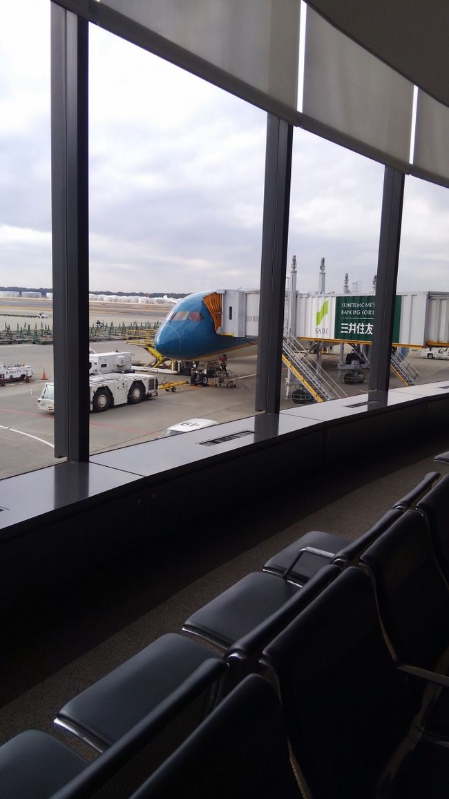 搭乗機はB787です♪