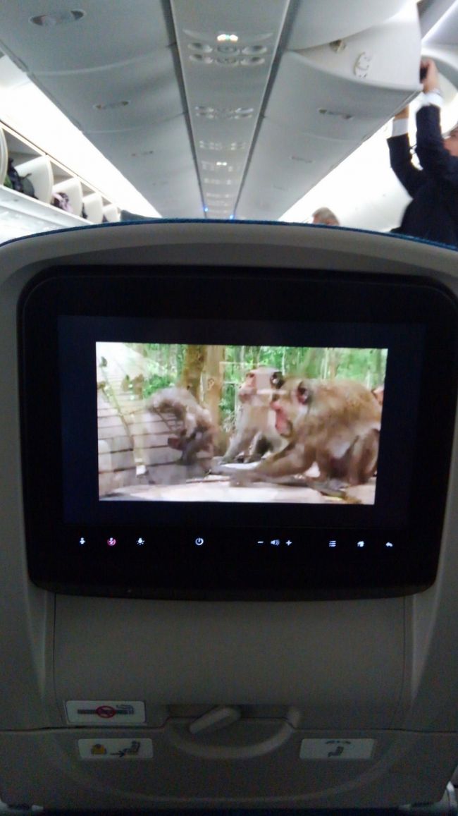 大きなモニターつきです♪