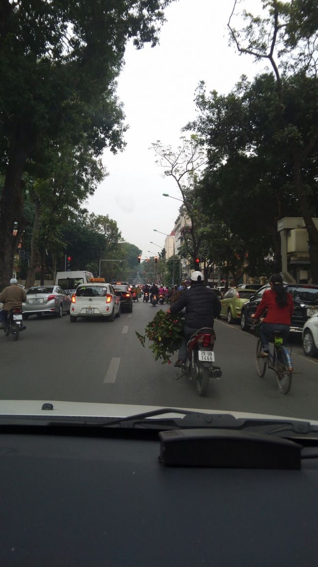 立派な街路樹とバイク、ベトナムにやって来たことを実感★