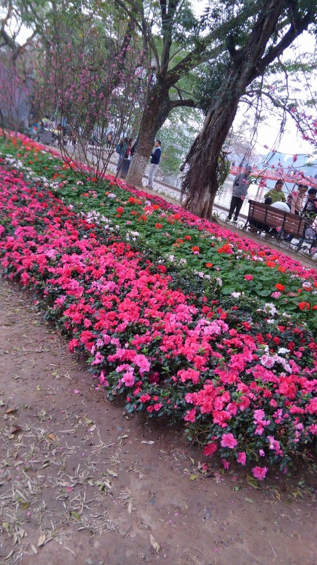 湖の回りは、色とりどりの花が植えられています！