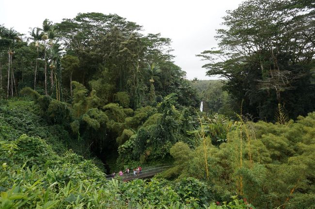 ほんとハワイ島はいろんな顔があるんですね