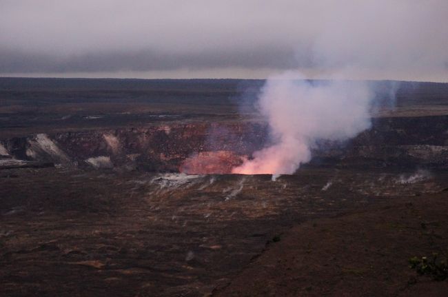 ここが見たかったんです！