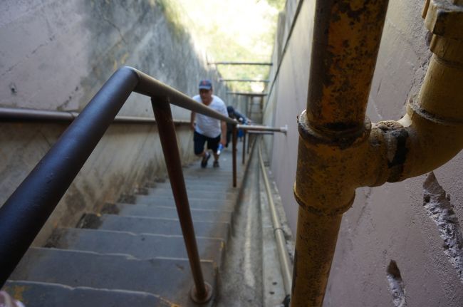 登りましたよ。<br /><br />ツアーでなくても行けるだろうと<br />トロリーで登山口まで。<br /><br />マイペースで登りました。<br />階段きつかった・・・