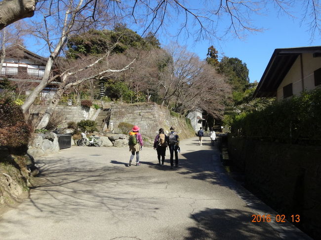 裏からハイキングコースへ入って行きます