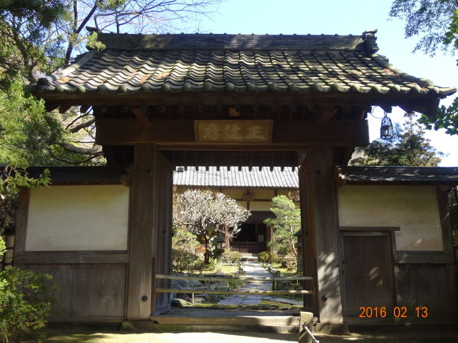 中には入れず、外から見るだけです