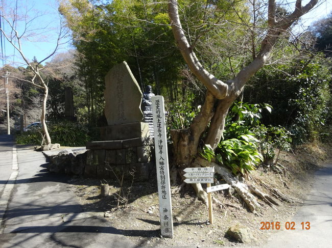 のどかな散策路