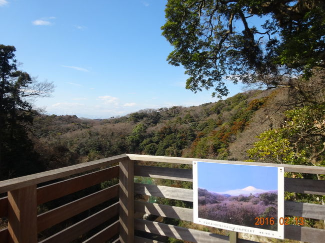 富士山が見えるはず・・・雲がなければ