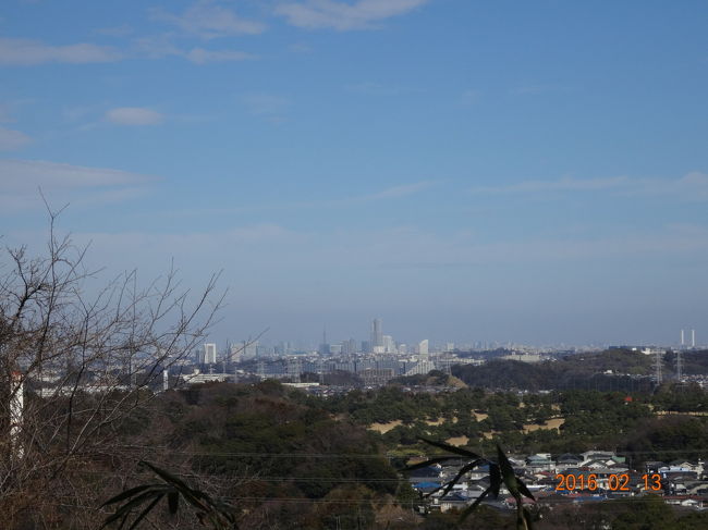 横浜が見えます