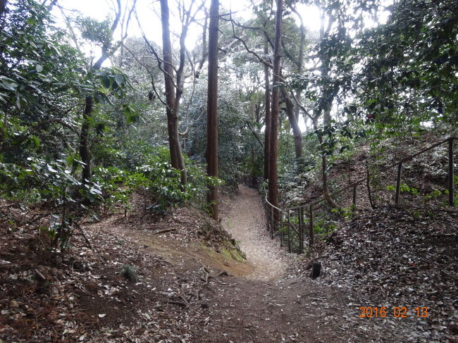 下りていきます