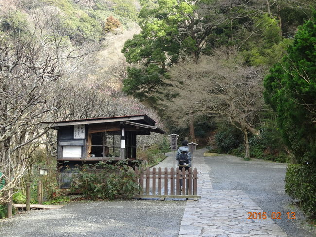 山道を出て右に行くと瑞泉寺があります