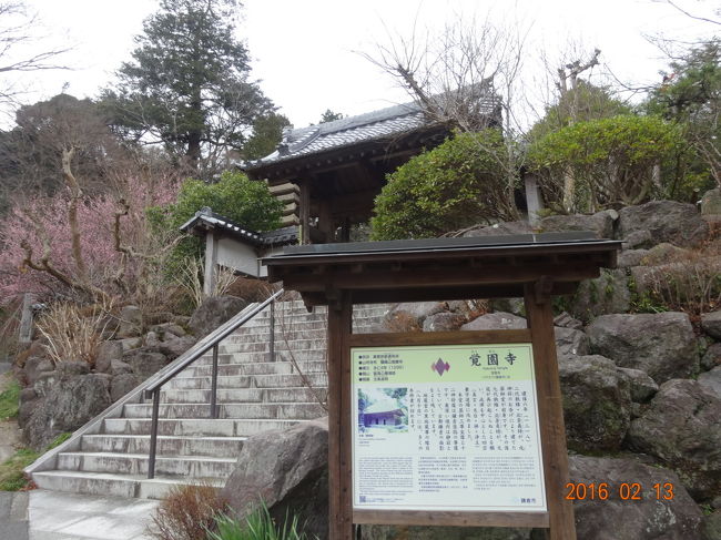 鎌倉宮を出て右に行くと覚園寺があります