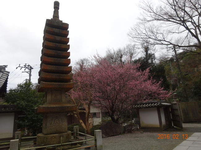 約50分の案内は説明のおじさんの話も面白かったです