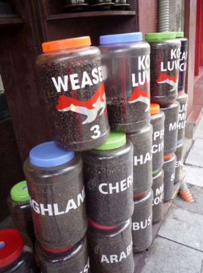 ハンガイ通りはショッピングストリート。<br /><br />ベトナム土産でよくリクエストされるベトナムコーヒー。とっても香ばしくて美味しいです。<br />街中に専門店がチラホラ。<br />入ってみましょう。