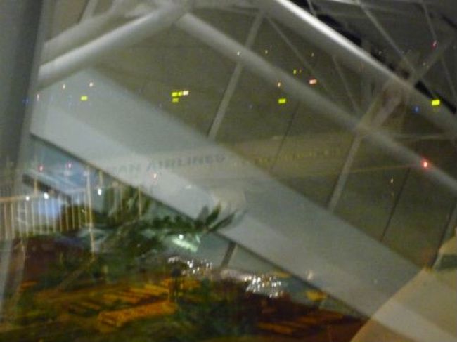 成田から飛んで来た折り返し便。<br />昨日の晩着いて、翌日の帰りですからCREWの皆様も一緒。