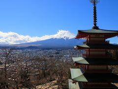 話題の、新倉浅間神社。
外人の方ばかりでした。