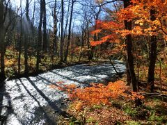 渓流と紅葉が本当に美しく、
写真ばかり撮っていました。