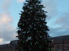 クレベール広場。
大クリスマスツリー、本当に大きいです。