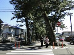 御穂神社の向かい側。ここから神の道。