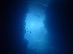 青の洞窟でシュノーケル

この光自然の光です。
感動的です