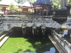 ウブドから東南方向にあるｺﾞｱｶﾞｼﾞｬへ行きました。ｺﾞｱｶﾞｼﾞｬは11世紀ころに造られた石窟寺院です。入り口でサロンを腰に巻いてもらって寺院に入ります。
女神像が彫られた沐浴場