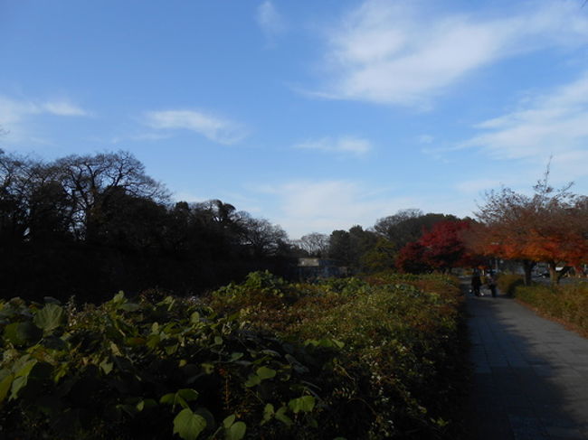 いい天気で歩くのが気持ち良かった。<br />南門から入場券を500円で買って入場。