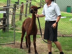 ラミントン国立公園の手前に
アルパカ牧場があります。

運転手兼
日本語・英語で同時ガイドする、
知識豊富なエコガイドのクリスさんです。

