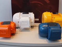 ジャラグア・ド・スウにある企業は、このＷＥＧ、縫製企業のMarisol、MalweeとNanete（靴下）とか.....


写真：ＷＥＧとはモーターの会社か？この段階でまだなんの会社か理解していません...苦笑