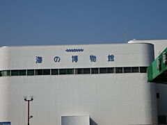 東海大学海洋科学博物館の建物です。自然史博物館と同じ敷地に隣り合わせであります。