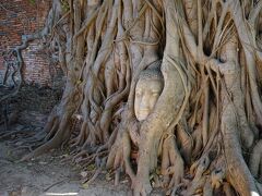 有名なワット・マハタートにある木の根に取り込まれた仏頭。
これだけは名前を知っている
